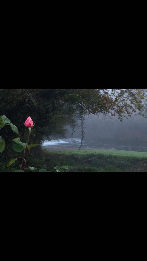 Riverside Stay Gunnislake Dış mekan fotoğraf