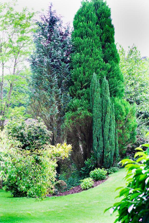 Riverside Stay Gunnislake Dış mekan fotoğraf